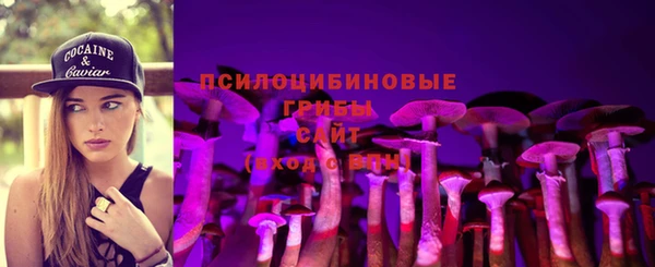 гашик Алексеевка