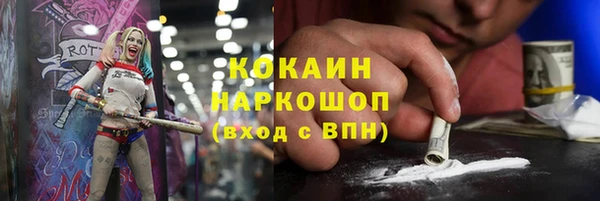 гашик Алексеевка
