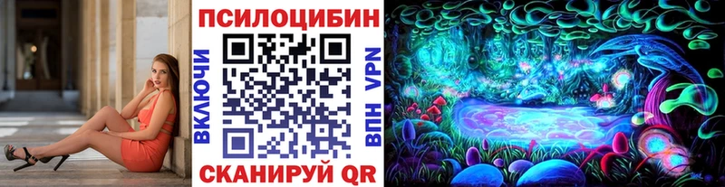 даркнет сайт  Королёв  mega как зайти  Галлюциногенные грибы прущие грибы 